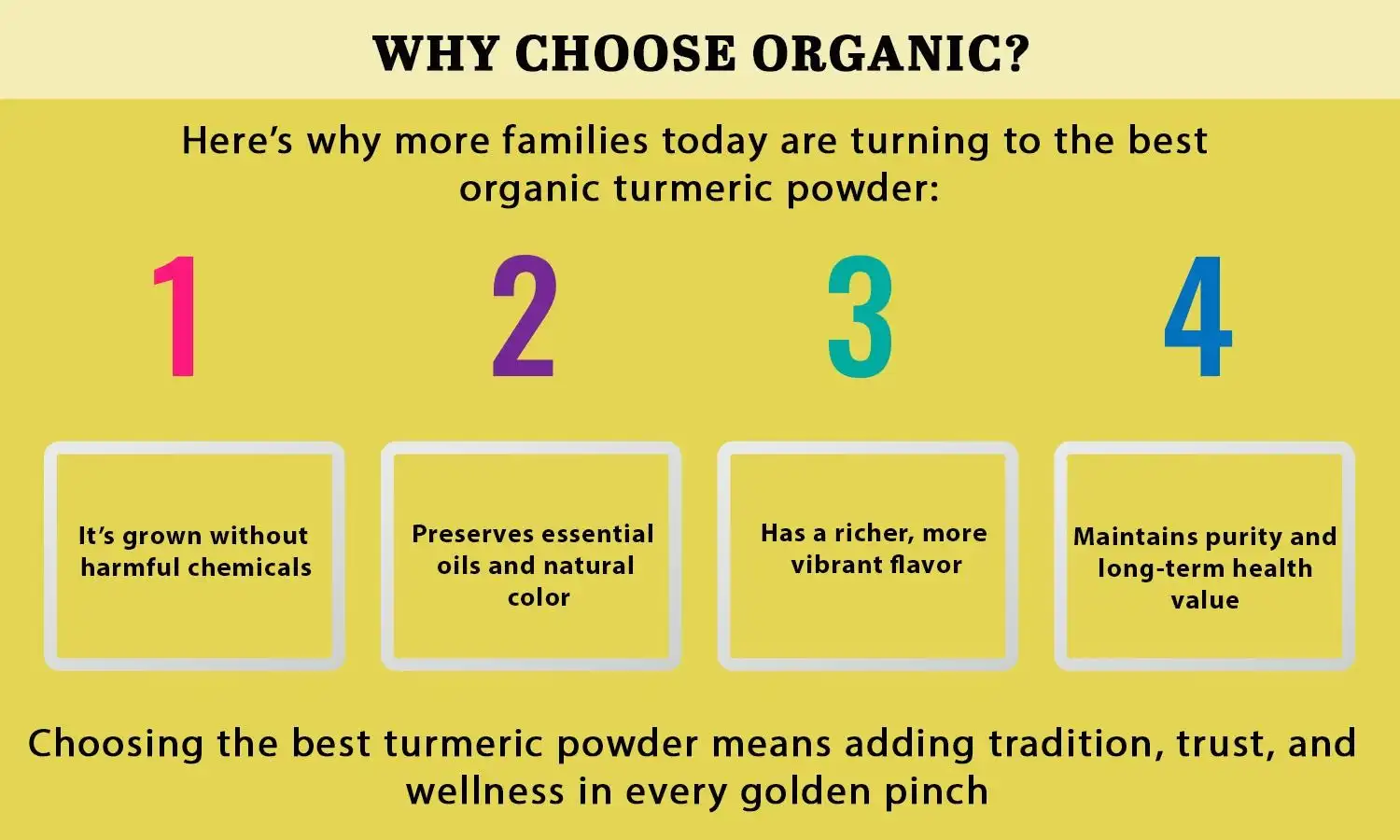 Organic Turmeric Powder